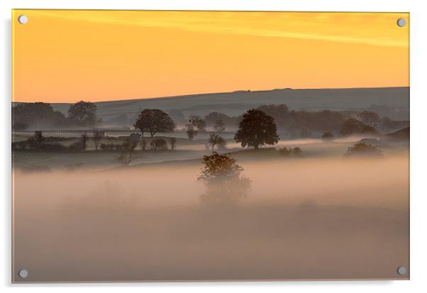  Pre Dawn near Priddy Acrylic by Bob Small