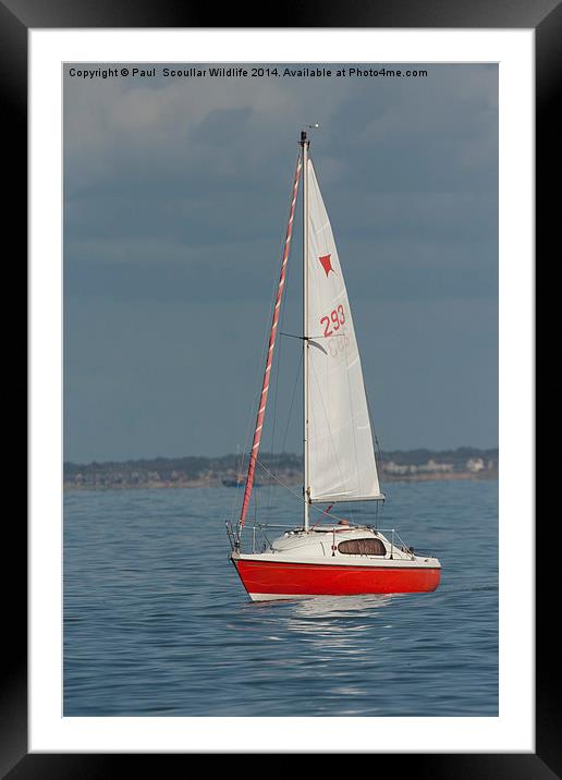 Lazing about on the river. Framed Mounted Print by Paul Scoullar