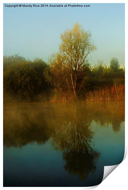 Tree reflection Print by Mandy Rice