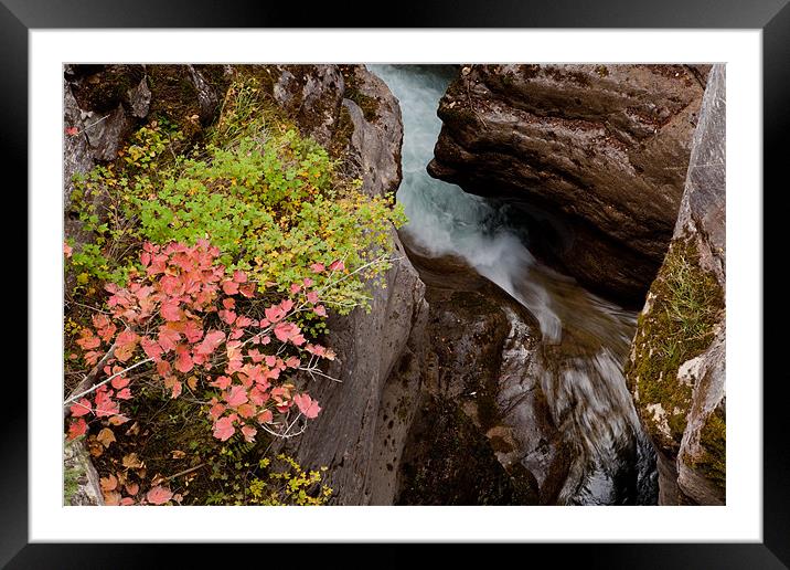 Maligne Canyon Framed Mounted Print by Thomas Schaeffer