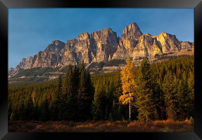 Bow Valley Parkway Framed Print by Thomas Schaeffer