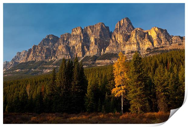 Bow Valley Parkway Print by Thomas Schaeffer