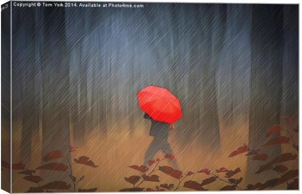 When The Rain Comes Canvas Print by Tom York