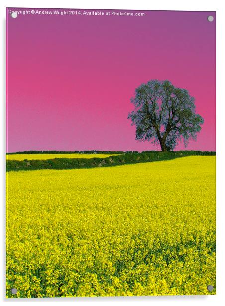 Portrait Of An Oak Tree ( Pink Version ) Acrylic by Andrew Wright