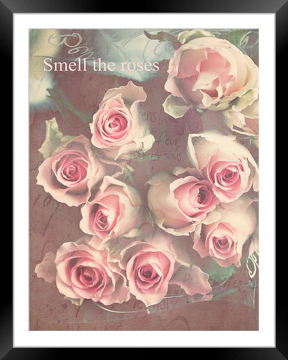  Smell The Roses .. Framed Mounted Print by Rosanna Zavanaiu