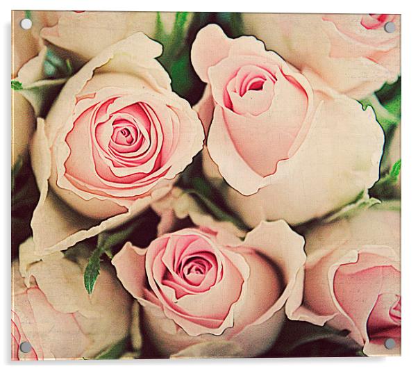  Pinkness Rose Acrylic by Rosanna Zavanaiu
