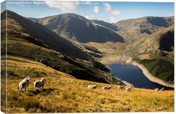 Mardale Head Canvas Print by David Lewins (LRPS)