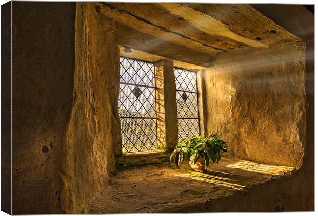  Sunlight Flooding the Chapel Canvas Print by Mal Bray