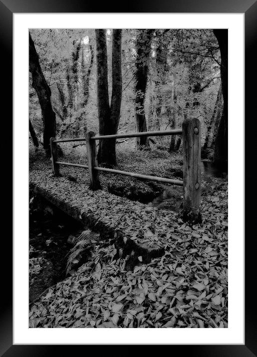 Wonderful Woodland Framed Mounted Print by Mark Robson