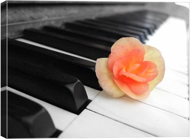 The Piano Canvas Print by Pete Holloway