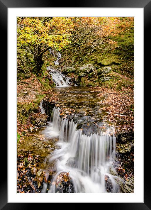  Autumn Stream Framed Mounted Print by Bob Small