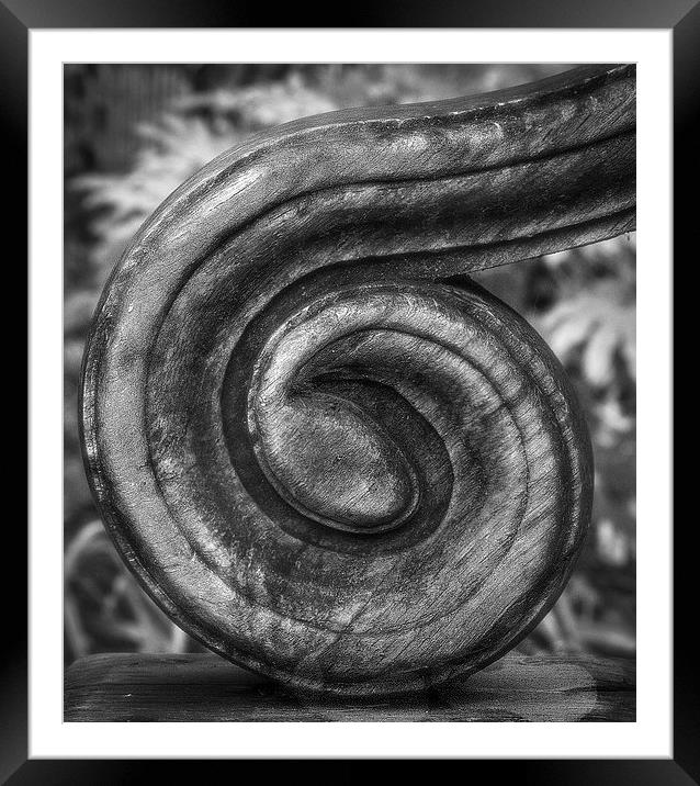  wood curl Framed Mounted Print by paul holt