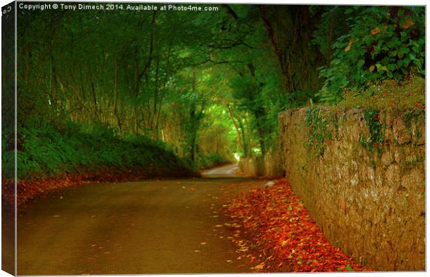  The Winding Lanes of Gower Canvas Print by Tony Dimech