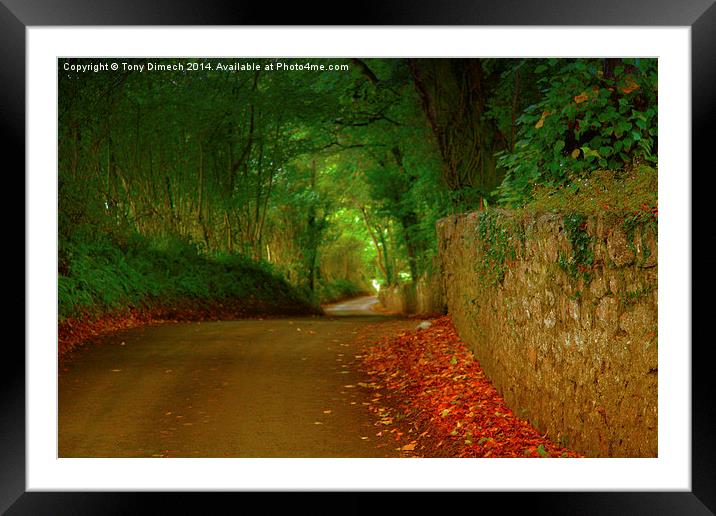  The Winding Lanes of Gower Framed Mounted Print by Tony Dimech