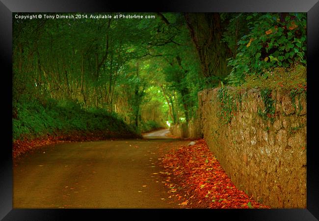  The Winding Lanes of Gower Framed Print by Tony Dimech