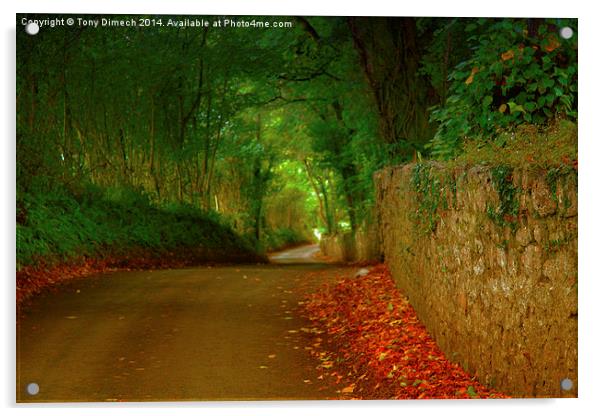  The Winding Lanes of Gower Acrylic by Tony Dimech