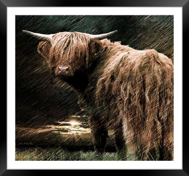  Highland storm Framed Mounted Print by Alan Mattison