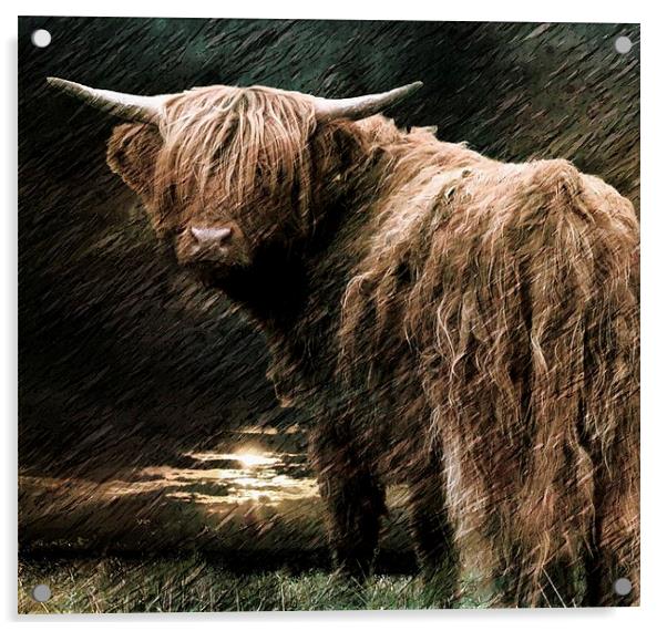  Highland storm Acrylic by Alan Mattison