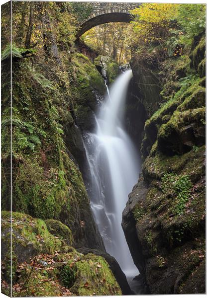 Aira Force Waterfall Canvas Print by Andrew Ray