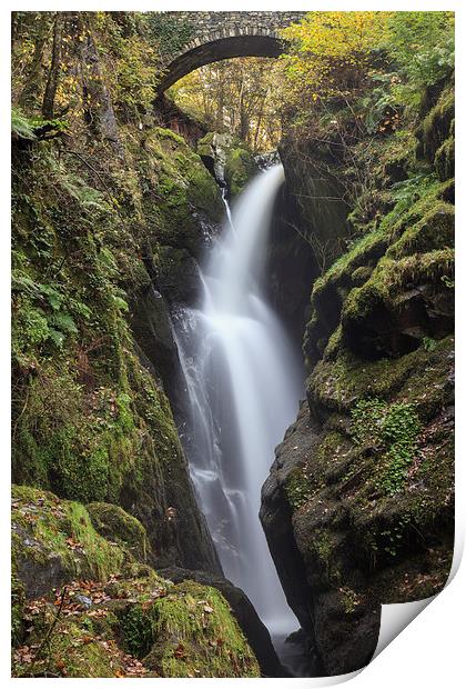 Aira Force Waterfall Print by Andrew Ray