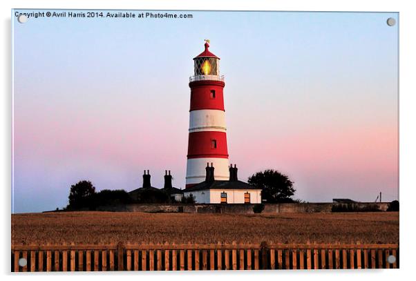 Happisburgh lighthouse shining Acrylic by Avril Harris