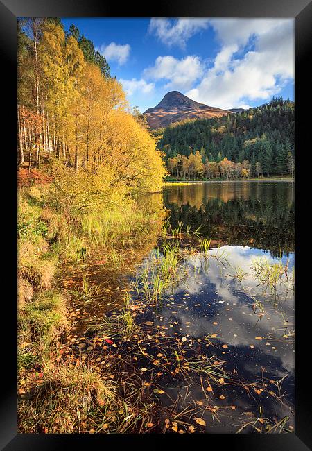 Autumn at Glencoe Lochan.tif Framed Print by Andrew Ray