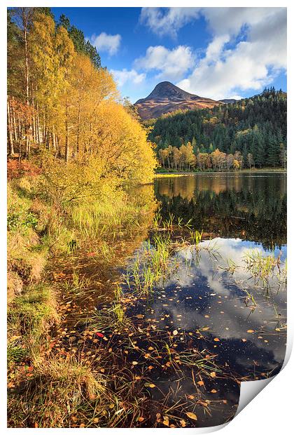 Autumn at Glencoe Lochan.tif Print by Andrew Ray