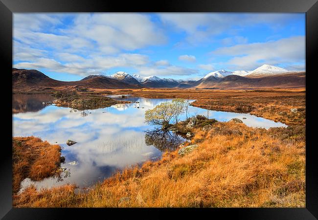 Autumn at Lochan na h-Achlaise Framed Print by Andrew Ray