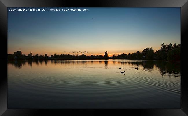  Duck Sunset Framed Print by Chris Mann