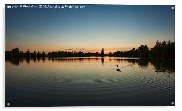  Duck Sunset Acrylic by Chris Mann