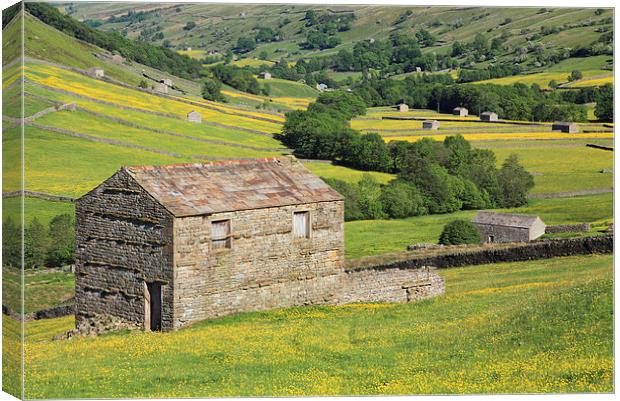 Barns in Swaledale Canvas Print by Andrew Ray