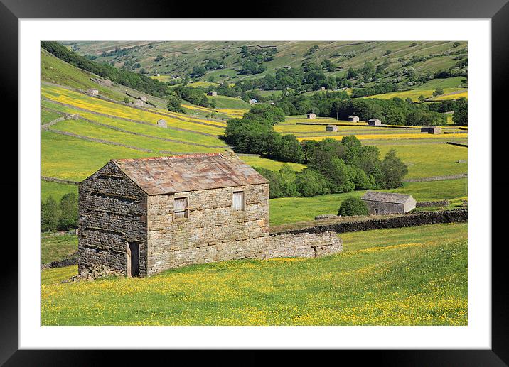 Barns in Swaledale Framed Mounted Print by Andrew Ray