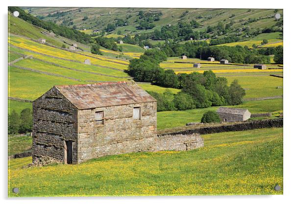 Barns in Swaledale Acrylic by Andrew Ray