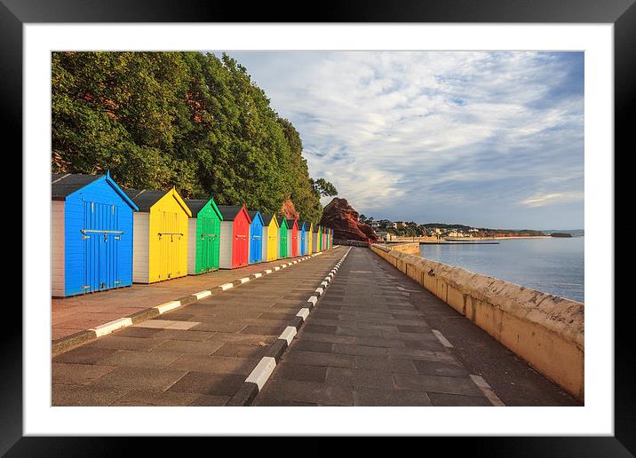 Beach Huts at Coryton's Cove (Dawlish) Framed Mounted Print by Andrew Ray