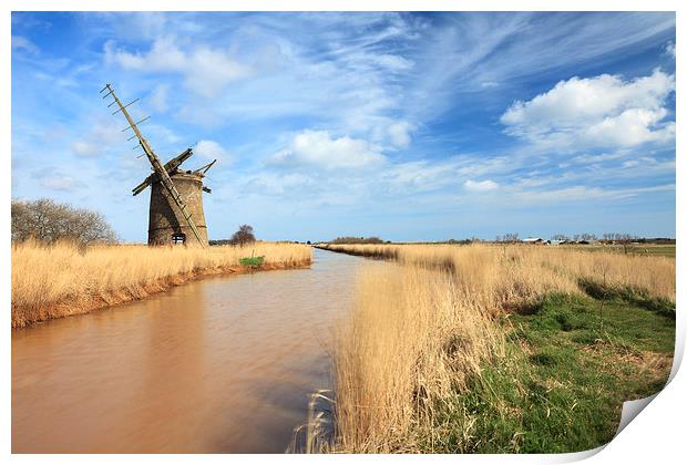 Brograve Drainage Mill Print by Andrew Ray