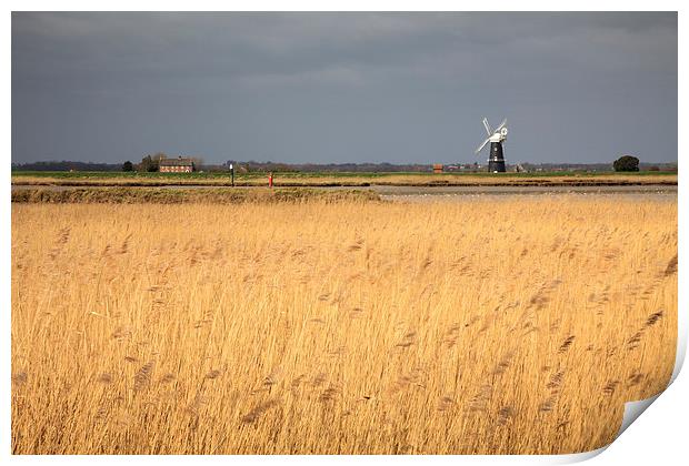 Burgh Castle Marshes Print by Andrew Ray