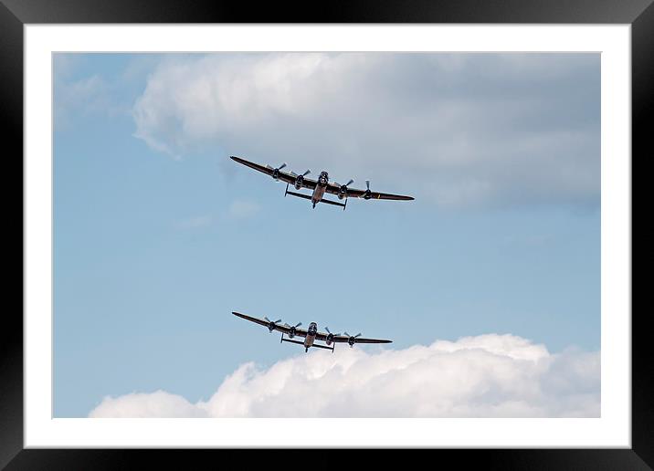 Thumper and Vera Together Framed Mounted Print by Roger Green