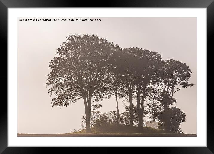 Morning Mist Framed Mounted Print by Lee Wilson