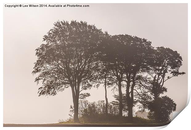  Morning Mist Print by Lee Wilson