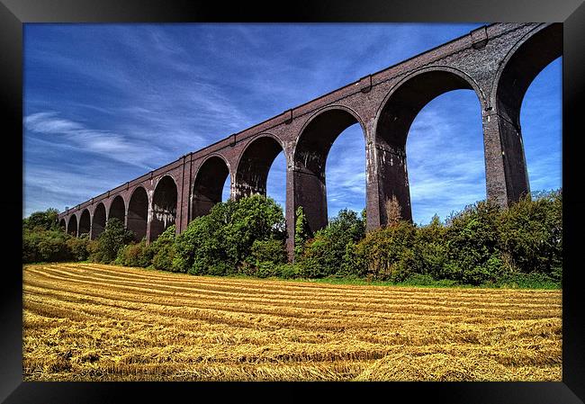 Conisbrough Viaduct  Framed Print by Darren Galpin