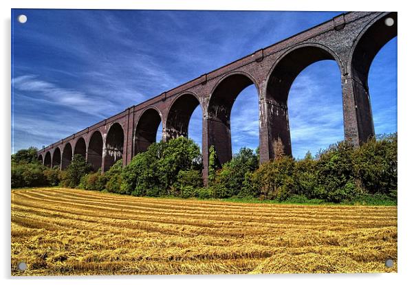 Conisbrough Viaduct  Acrylic by Darren Galpin