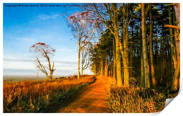  Belvoir Ridge Golden Hour Print by Brian Garner