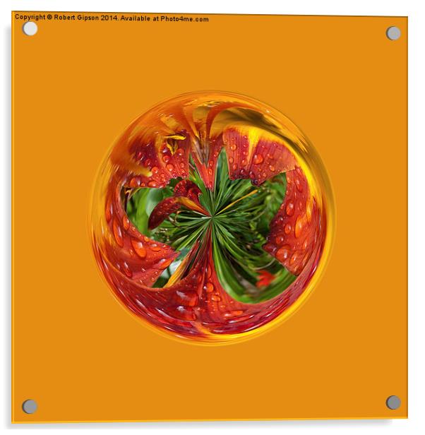  Red Flower Globe Acrylic by Robert Gipson