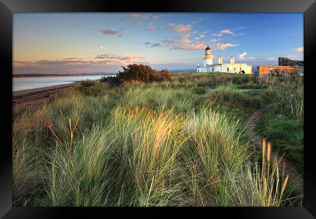 Chanonry Point Lighthouse Framed Print by Andrew Ray