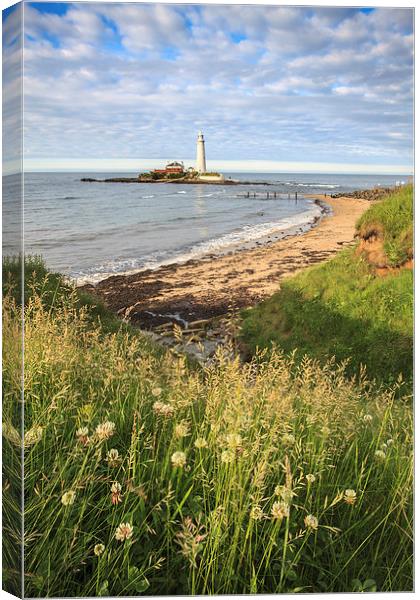 St Marys Lighthouse Canvas Print by Andrew Ray
