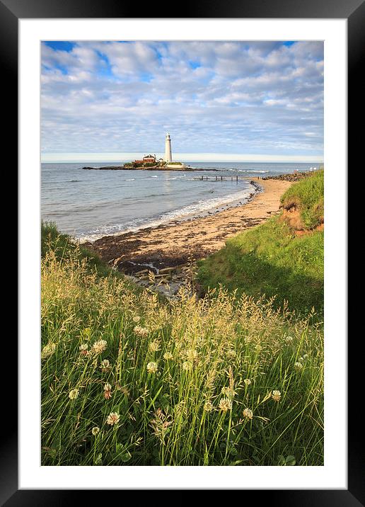 St Marys Lighthouse Framed Mounted Print by Andrew Ray