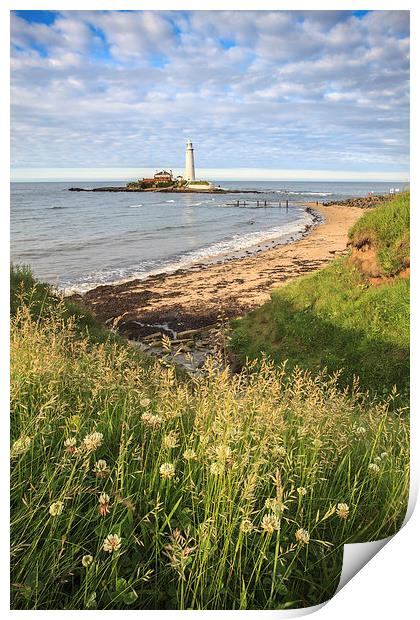 St Marys Lighthouse Print by Andrew Ray