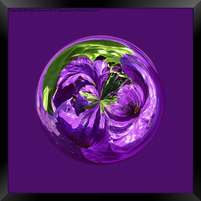   Purple Flower Globe Framed Print by Robert Gipson