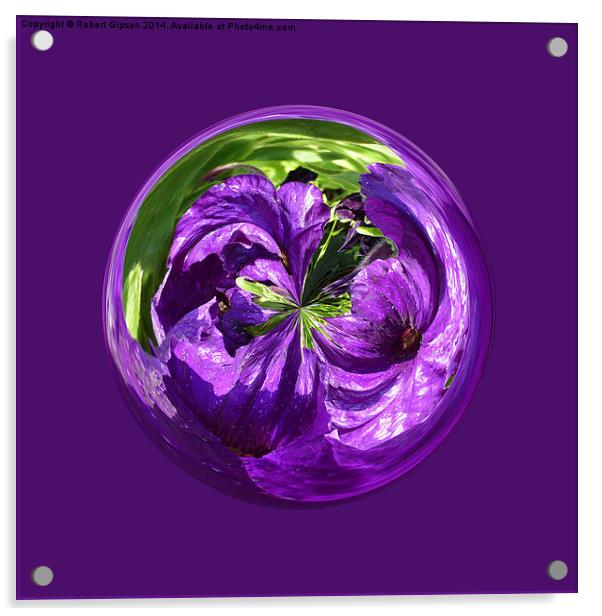   Purple Flower Globe Acrylic by Robert Gipson