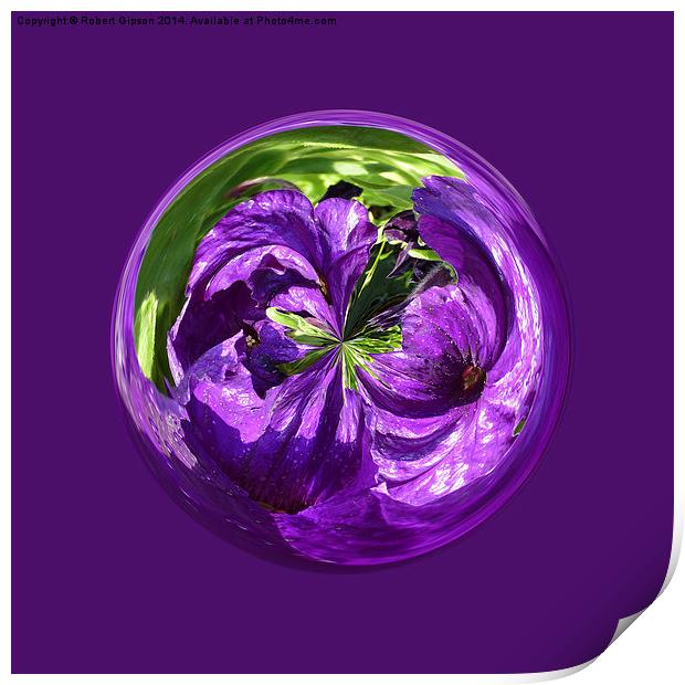   Purple Flower Globe Print by Robert Gipson